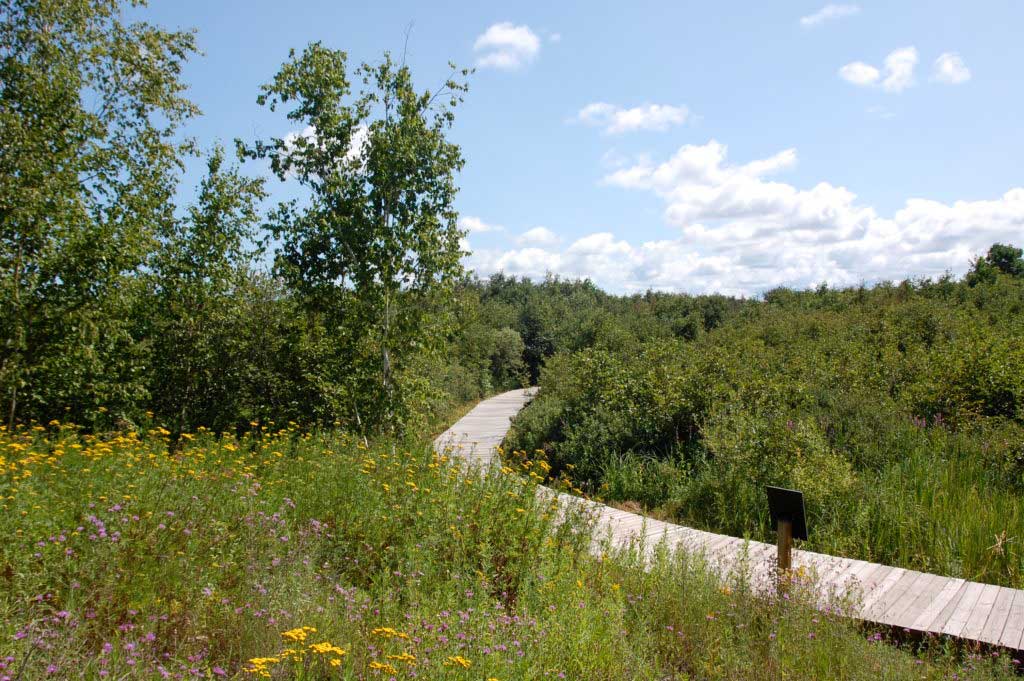 Featured Trail Town Houghton, Michigan — ATRA