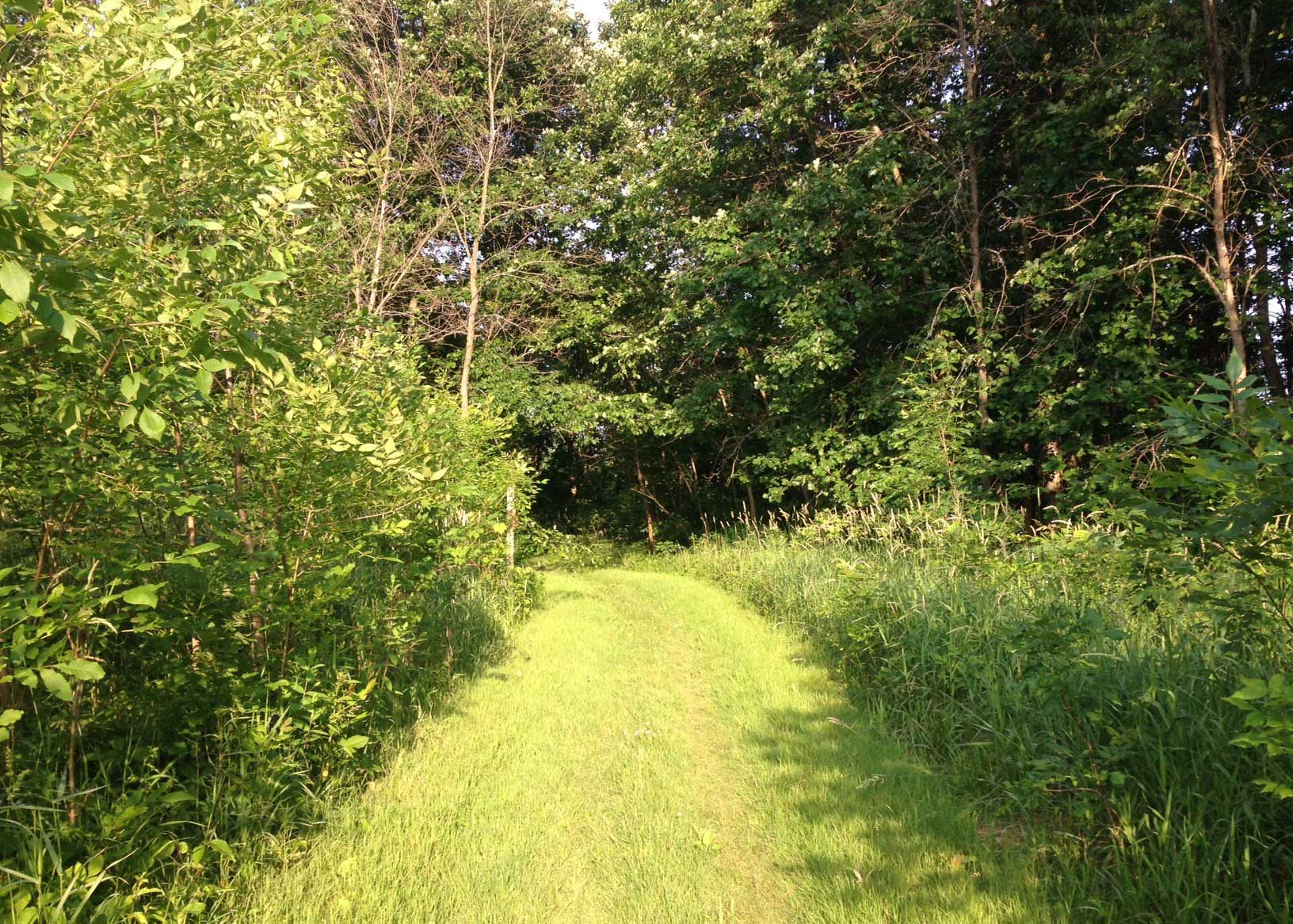 Roselle Park GRAND RIVER RUN — ATRA