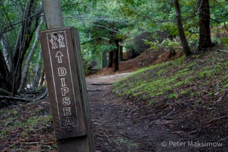 Mark Tatum The Rise of a Dipsea Champion — ATRA