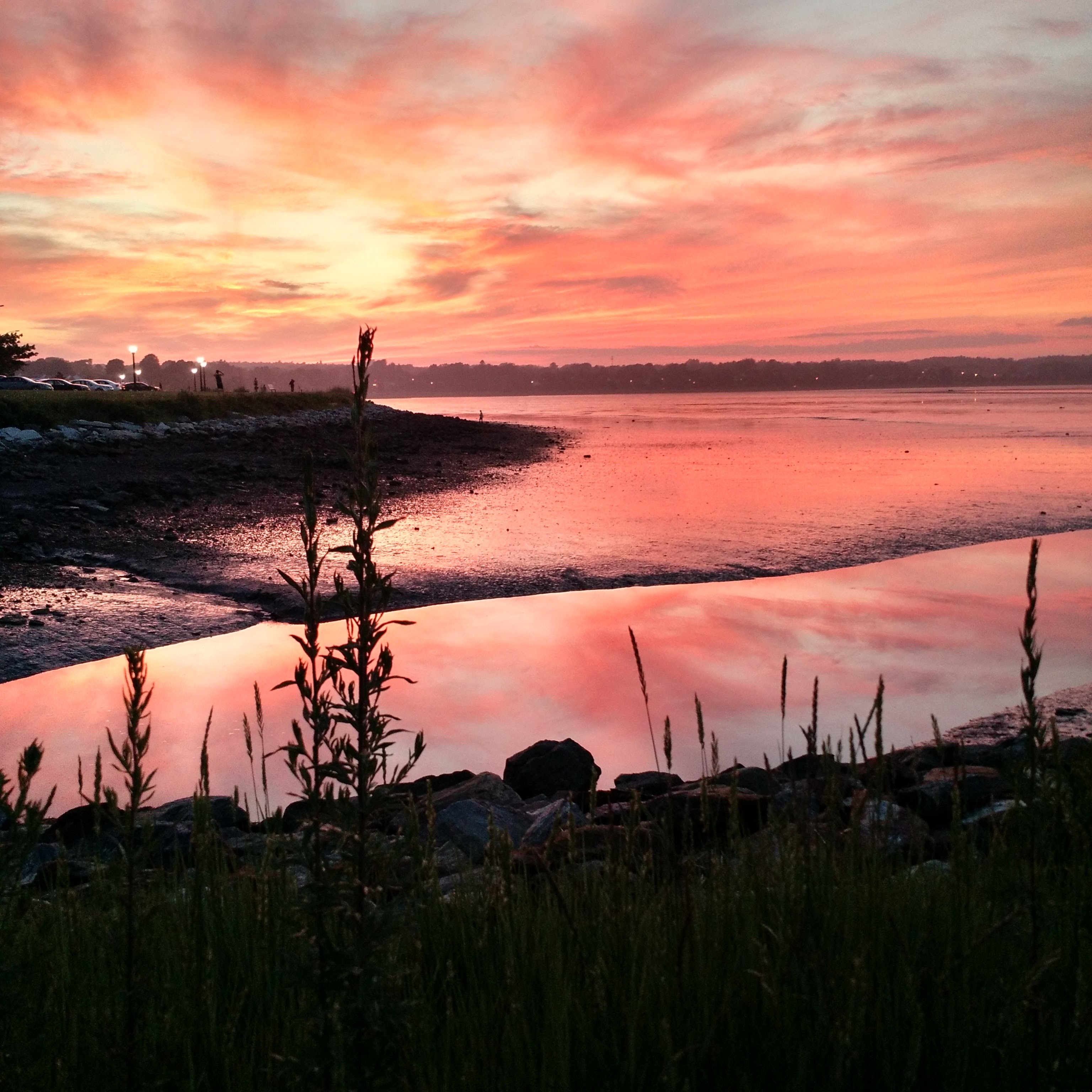 Back Cove Trail » Portland Trails