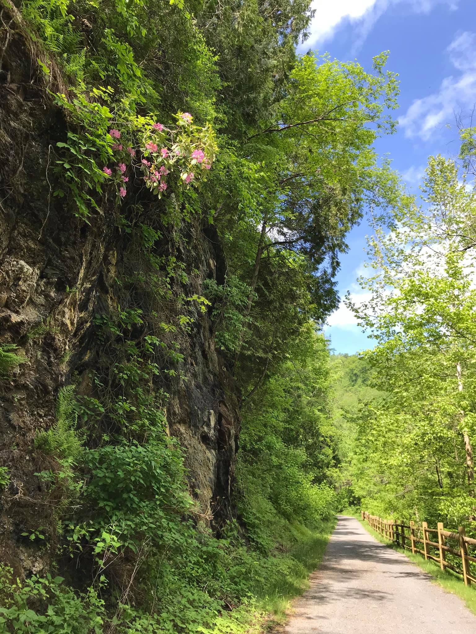 Day 2 The Jackson River Scenic Trail Trails Ahead
