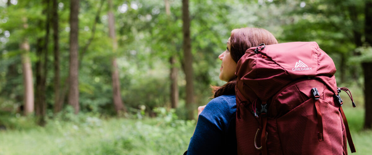 Basic Anatomy of a Backpack Expert Gear Advice Enwild TrailSense