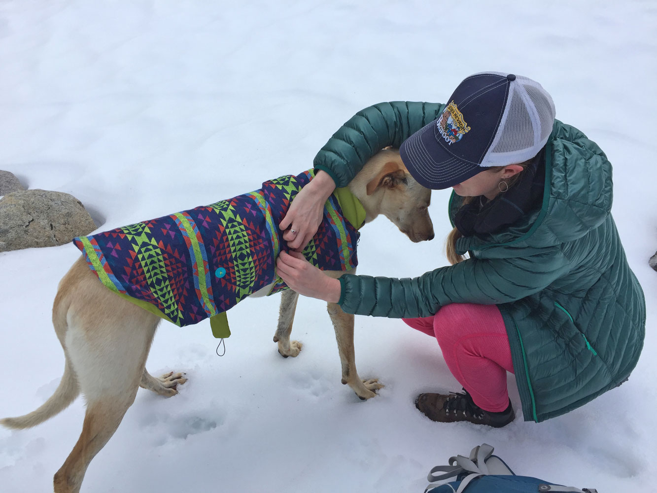 DIY Dog Rain Jacket Trails' Guide