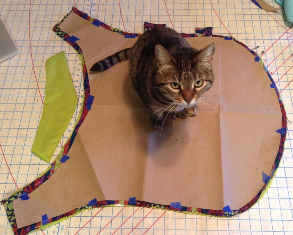 DIY Dog Rain Jacket Trails' Guide