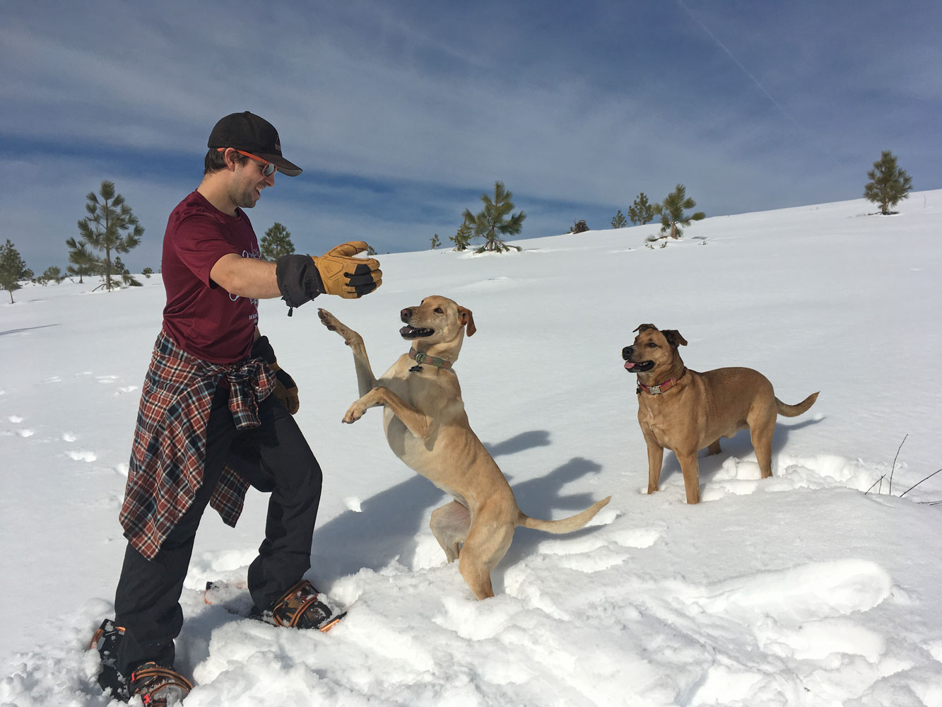 Powder Hound Trails' Guide