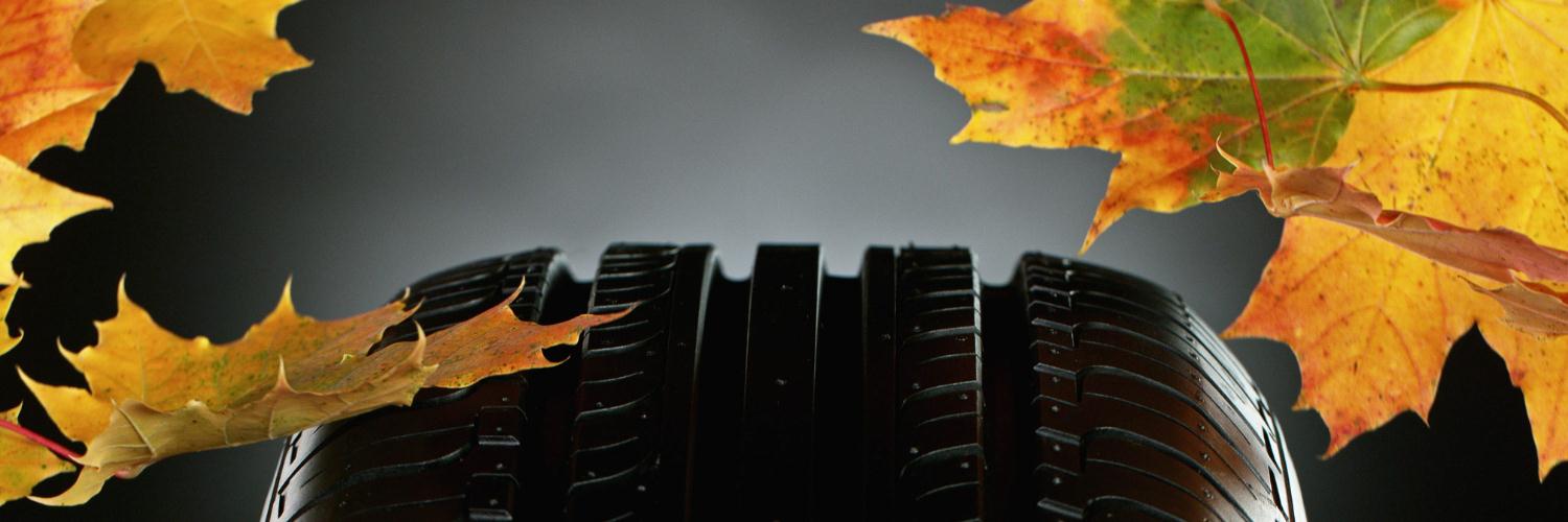 AllSeason Tires for Spring, Summer and Fall Kirks Trail Tire Auto