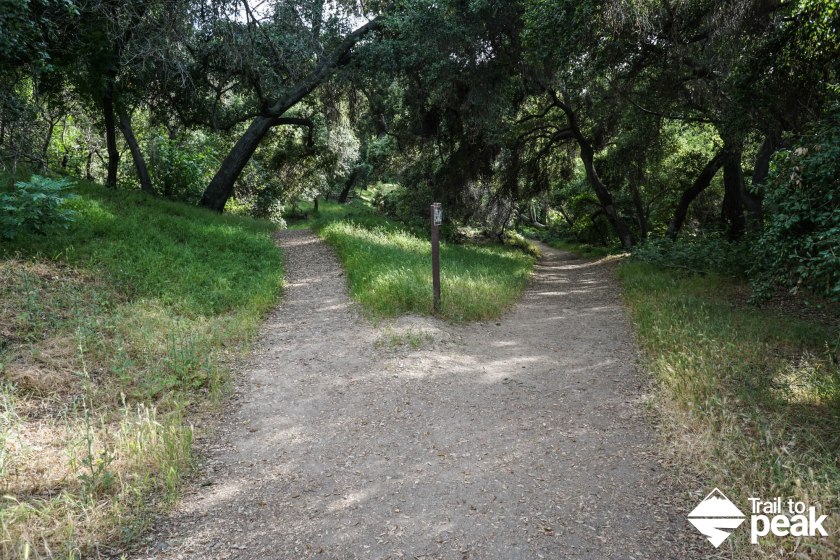 Hiking The Michael D Antonovich Trail