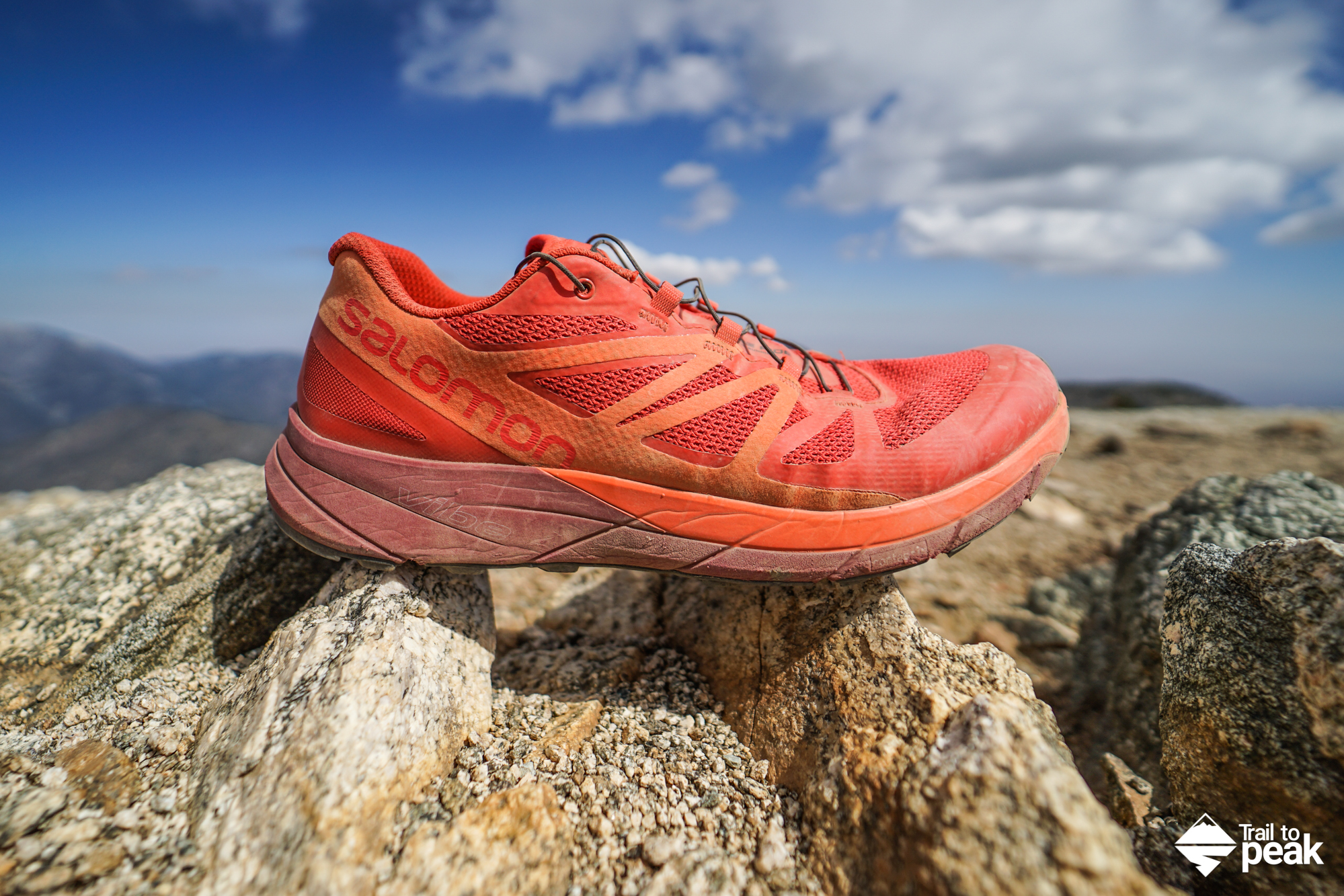 salomon waterproof trail running shoes