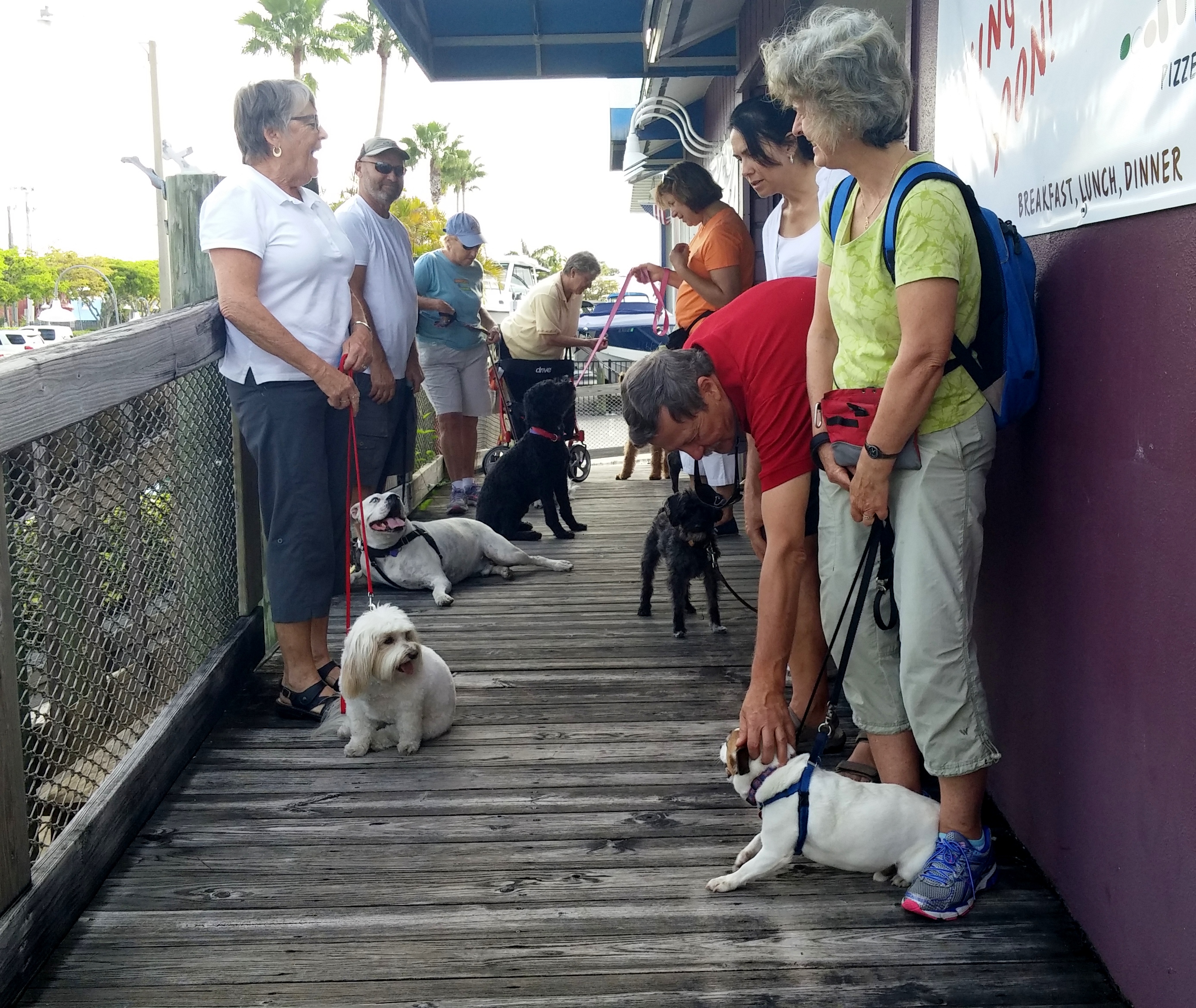 How To Stop Dog Lunging And Barking At Other Dogs