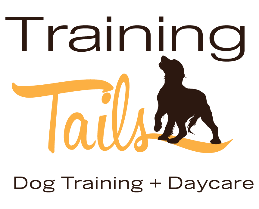 Training Tails Dog Daycare & Dog Training in Dover