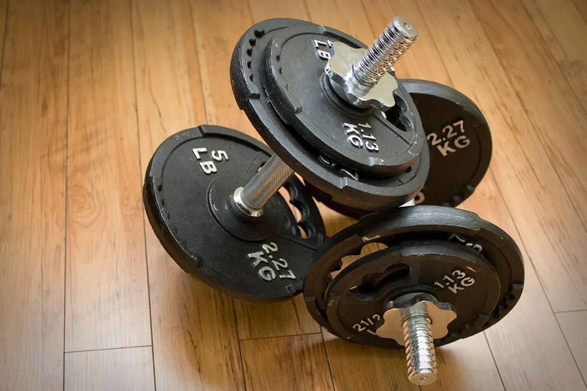 Kurzhantel » Training.fit