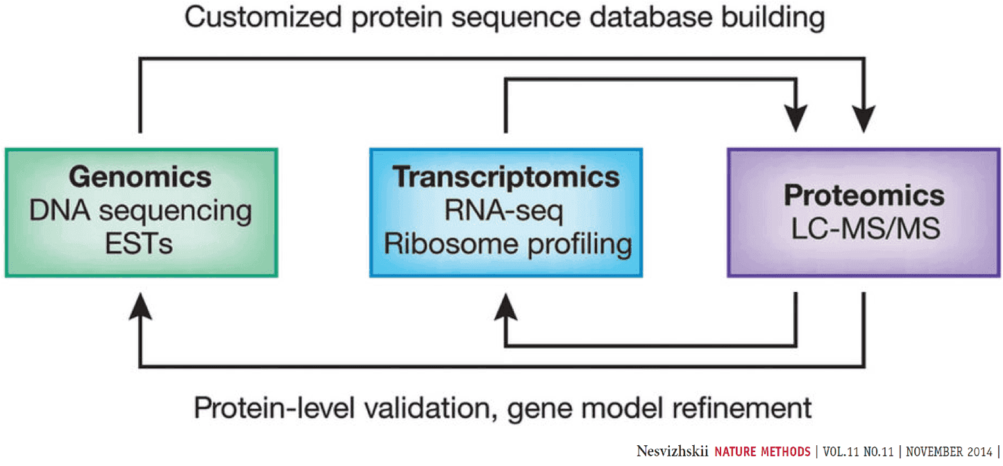 Handson Proteogenomics 1 Database Creation / Proteogenomics 1