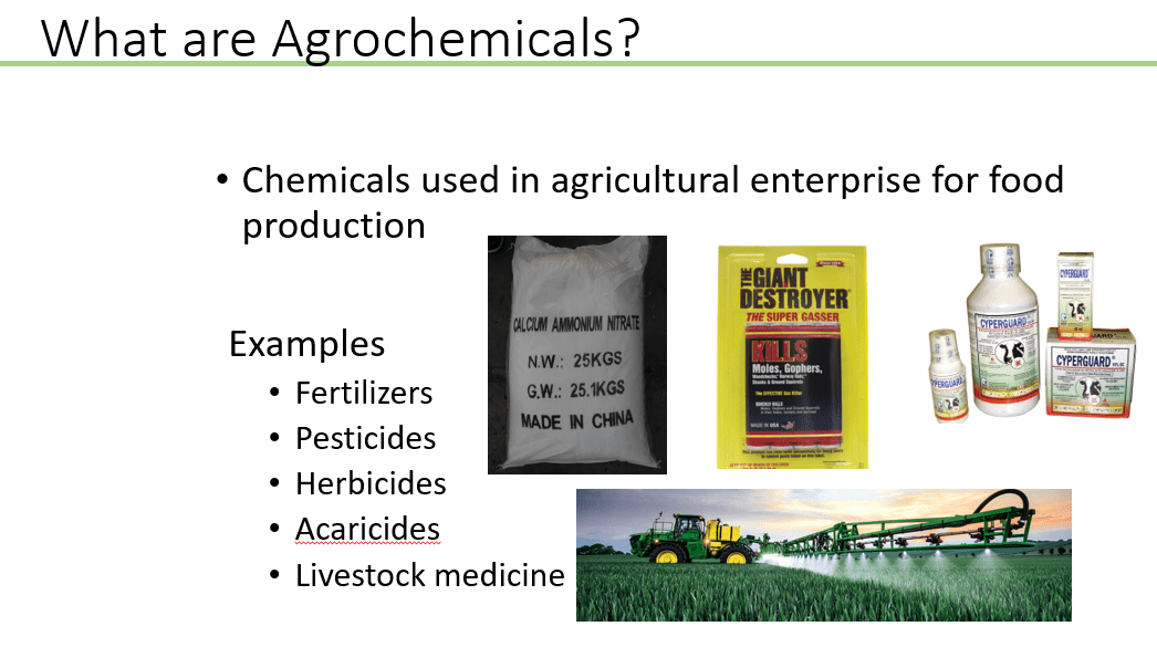 KENYA CHEMICAL SOCIETY
