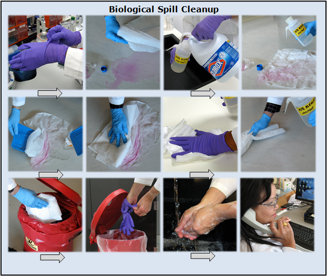 Pub3000 CH26 Biosafety