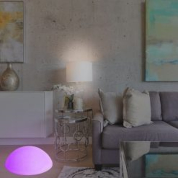 LED Mood Light Flat Pebble Sensory w/Remote The Item