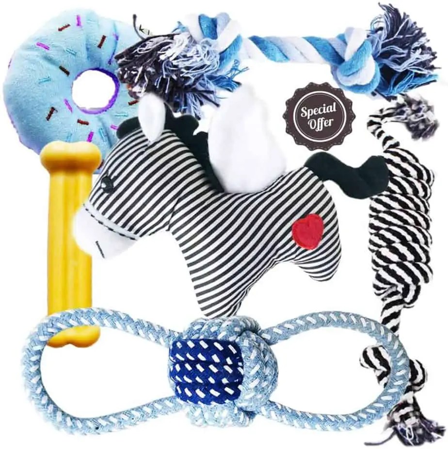 Best Toys For a Cavapoo Puppy Training buster