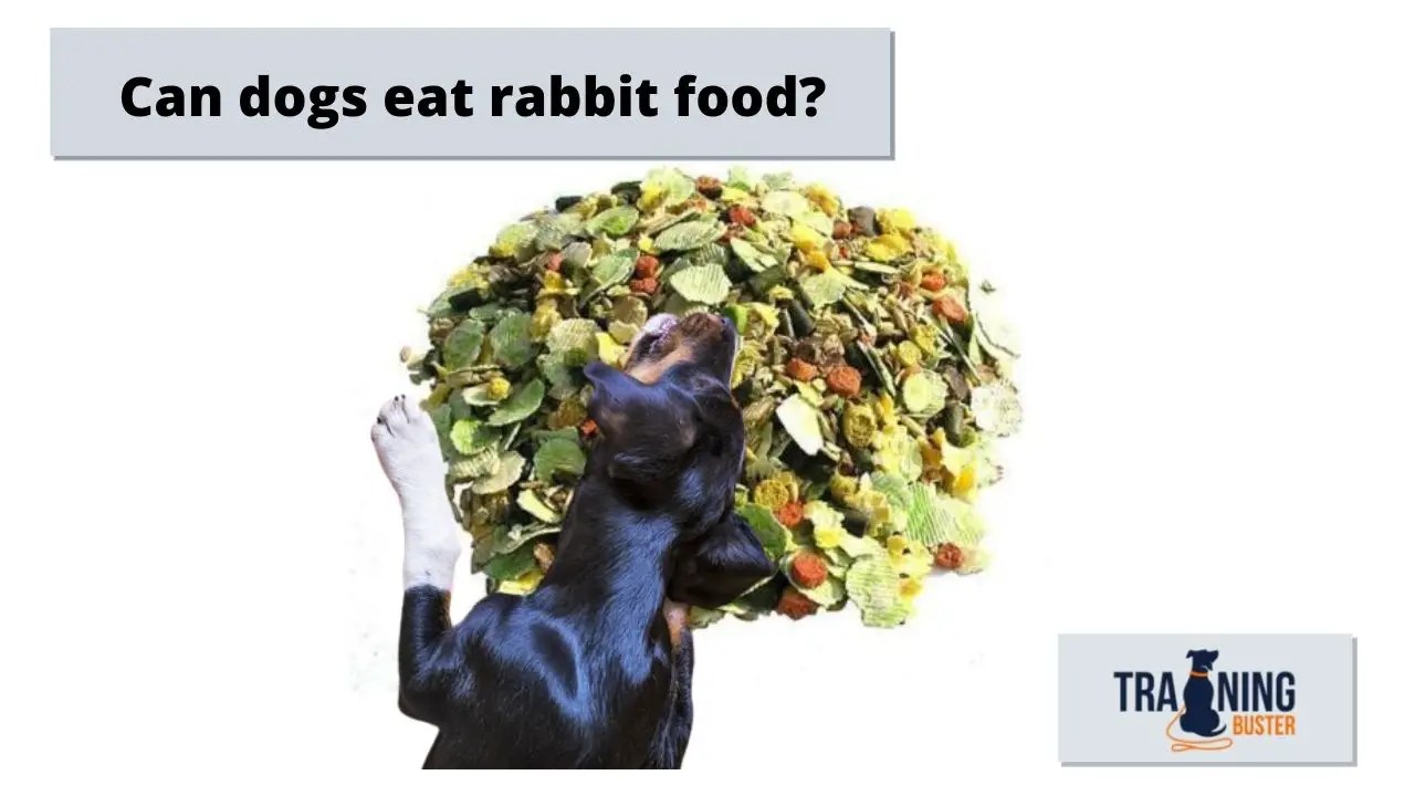 Can dogs eat rabbit food?