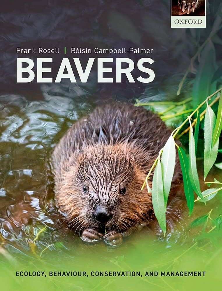 Beavers Ecology Behavior Conservation And Management Book Title