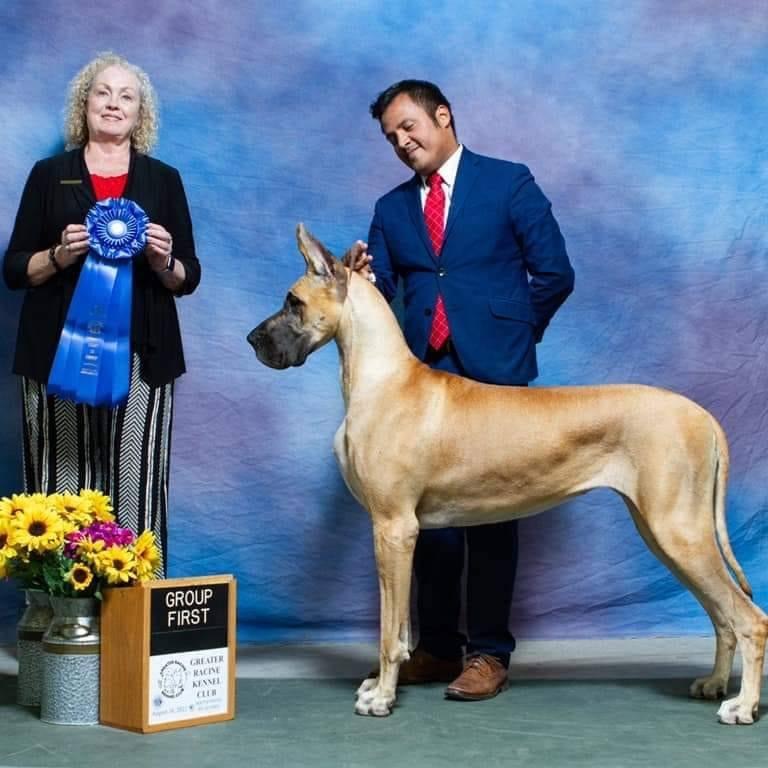 My Students Dog Show Training With Laura