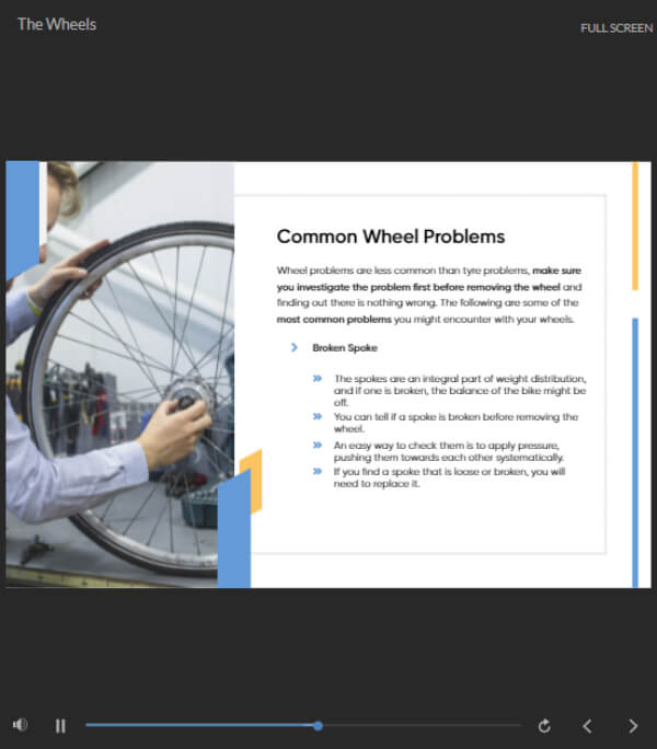 Beginner Bike Maintenance Training Express