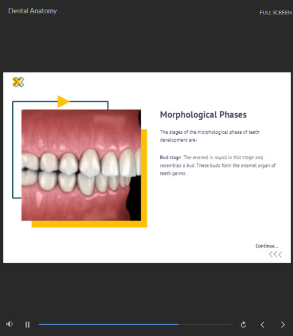 Dental Hygienist Training Express