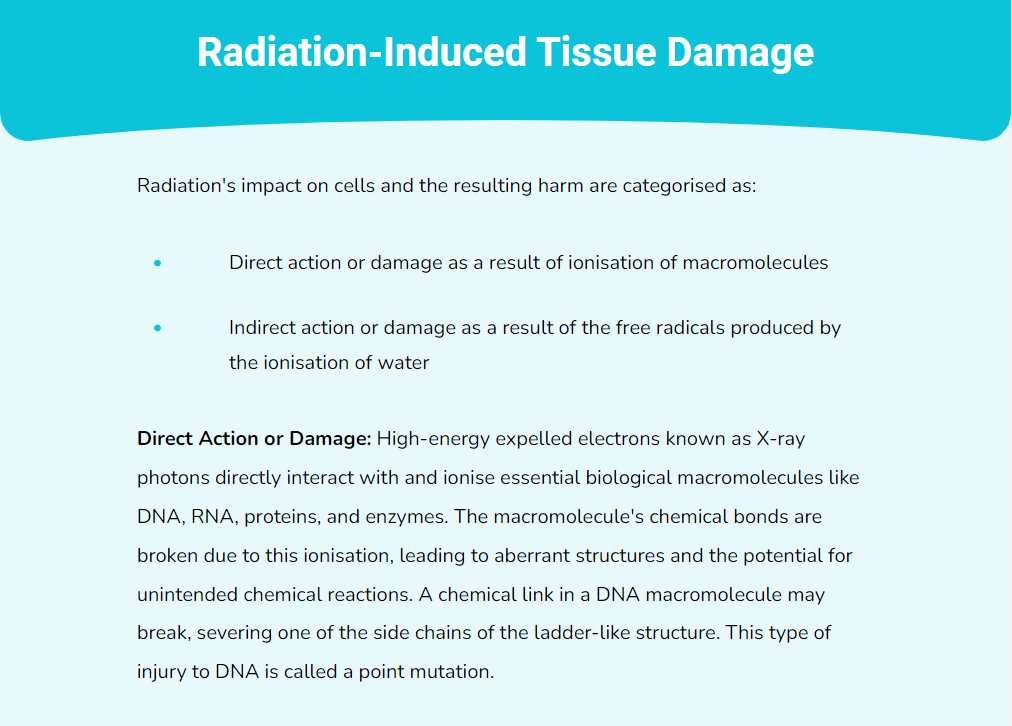 Dental Radiography Training Express