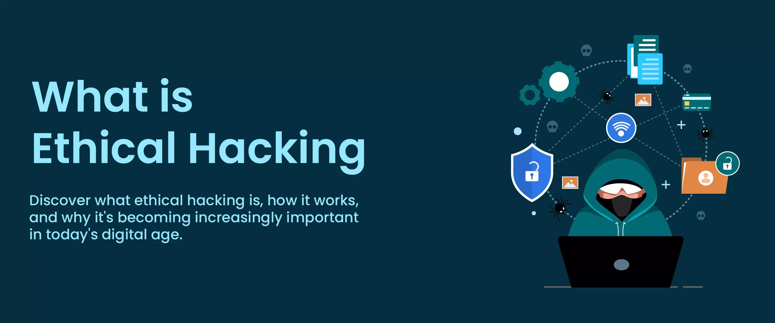 What is Ethical Hacking? Types, Advantages And More