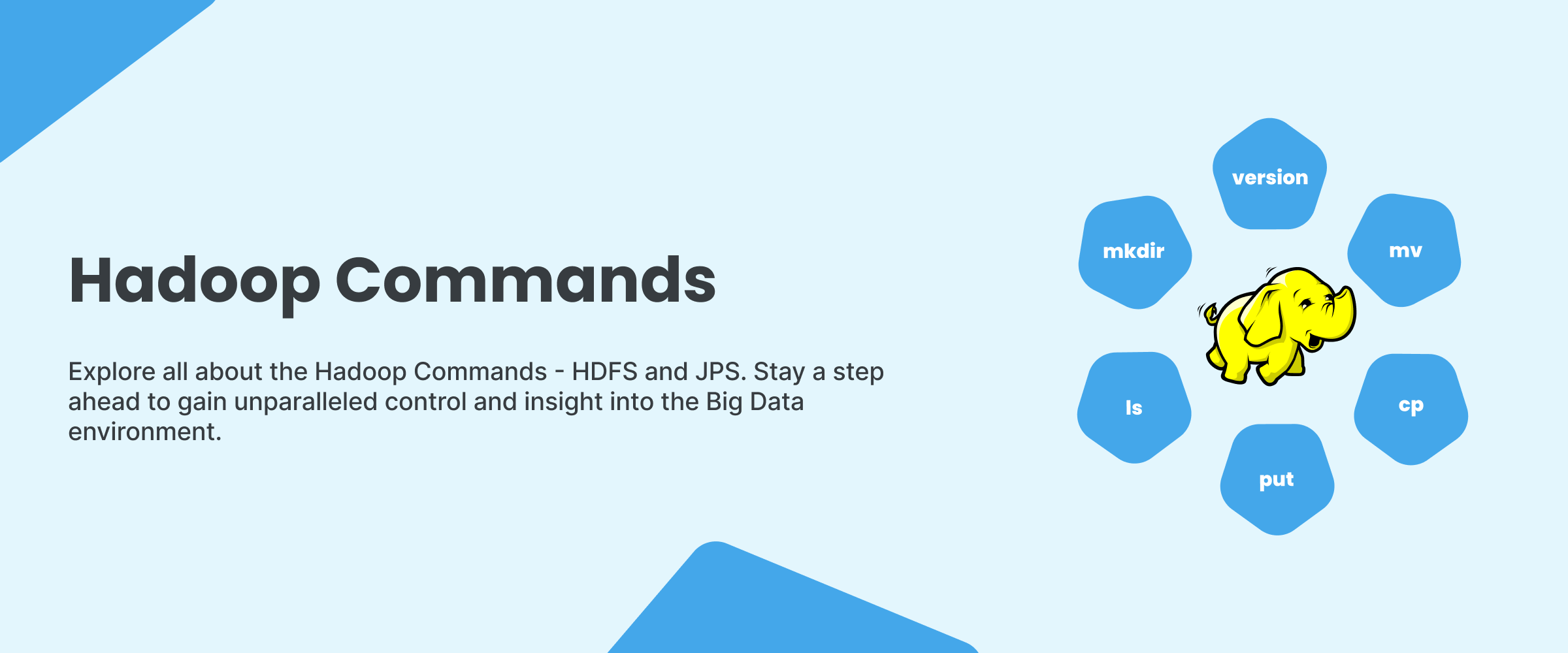 Hadoop Commands You must know in 2024
