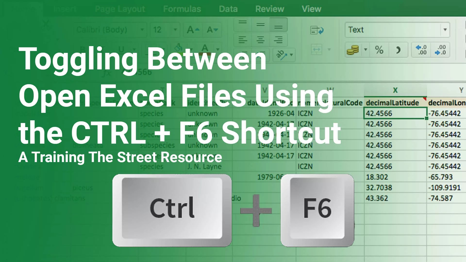 Toggling Between Open Excel Files Using the CTRL + F6 Shortcut