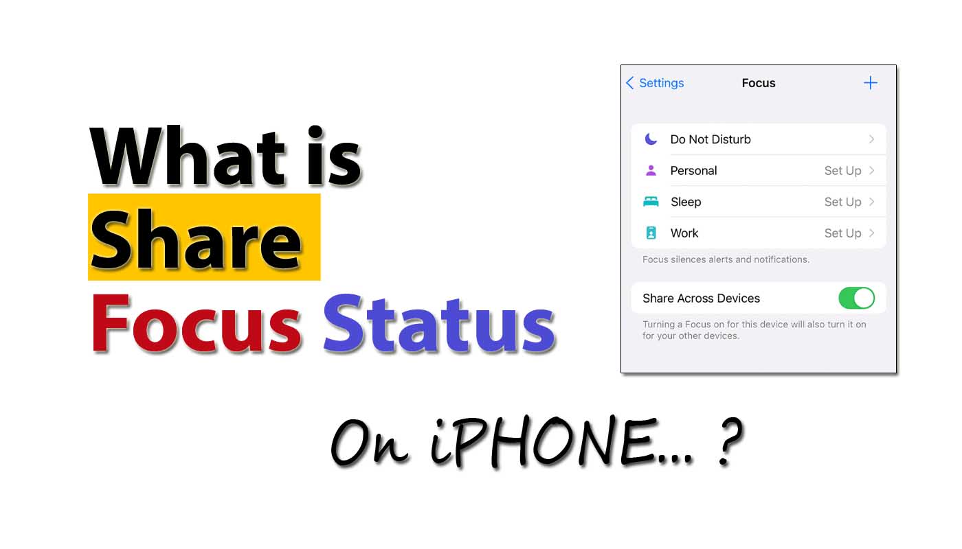 What Does Share Focus Status Mean Train Me Social
