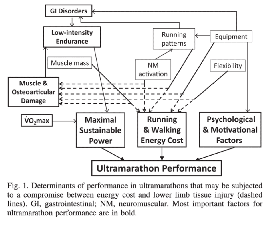 Everything You Wanted to Know About Running Economy in Ultrarunning