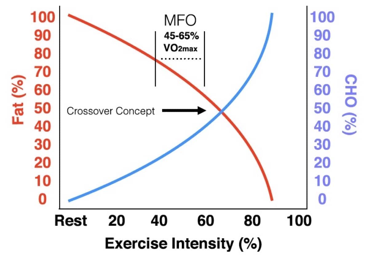 Sugar vs. Fat The Crossover Concept of Carbohydrate and Fat