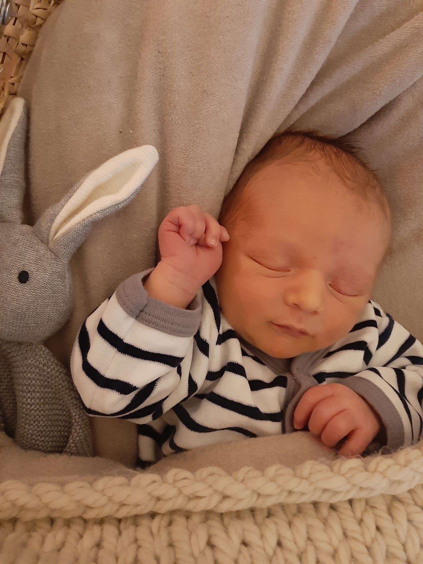 La famille s’agrandit ! Trait d'union