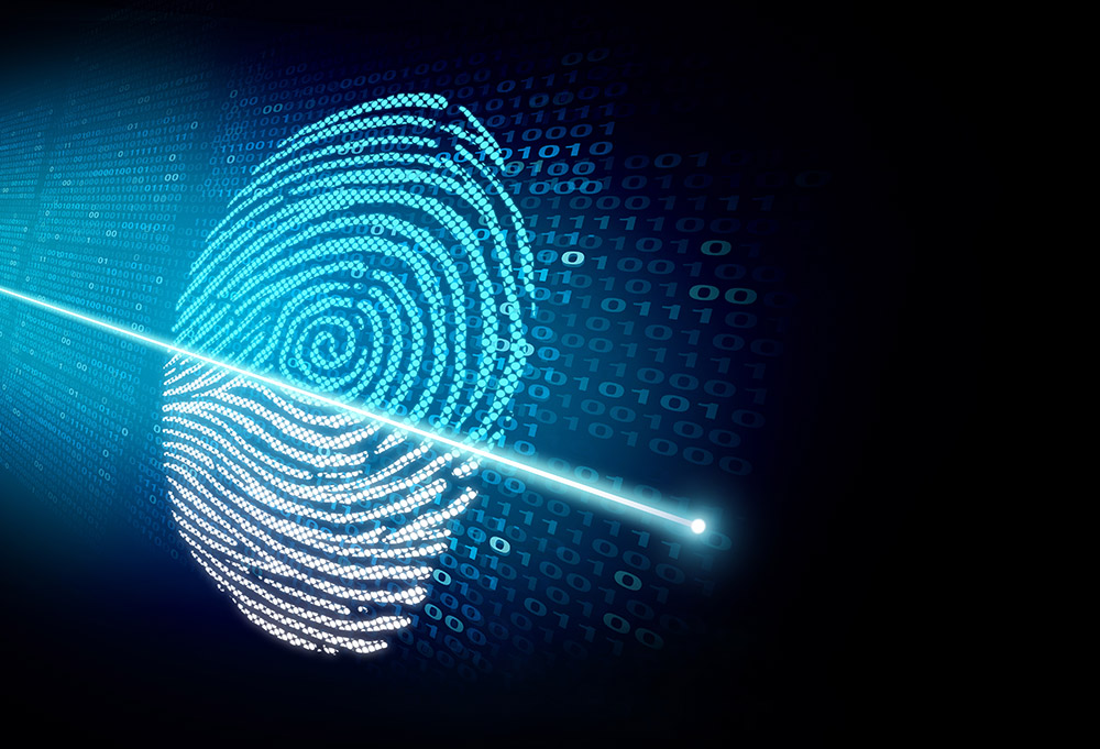 How Does Biometric Authentication Improve User Experience and