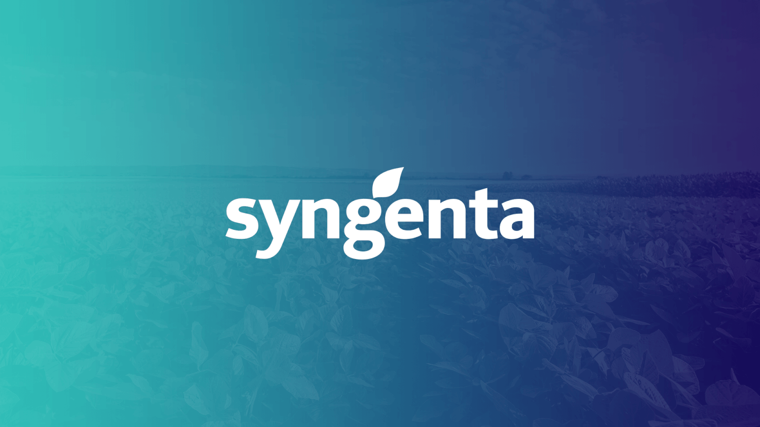 Syngenta usa plataforma da Traive para agilizar análise de crédito e