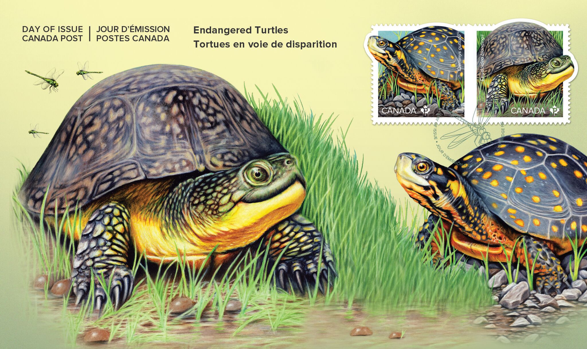 Canada’s endangered turtles on latest issue Canadian Stamp News