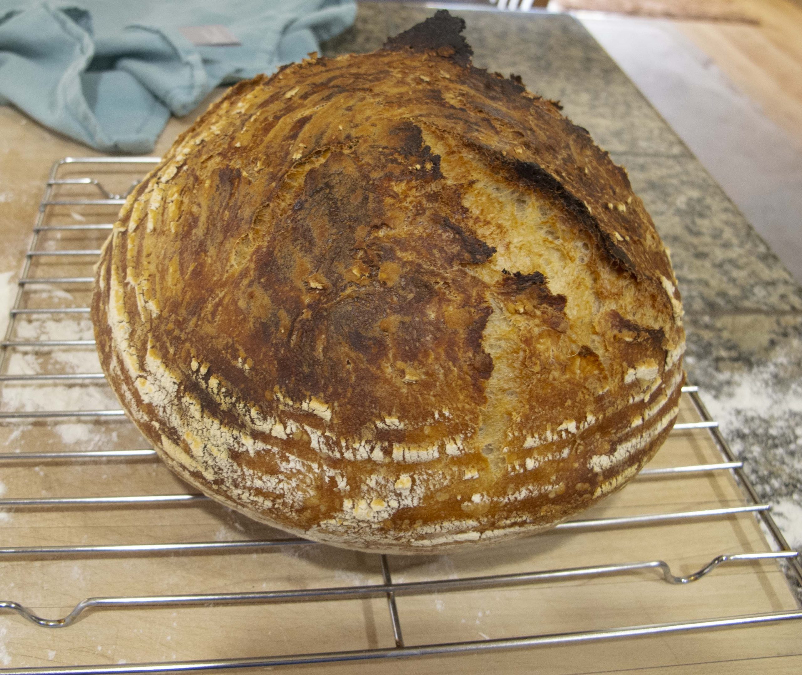 Bread School Sourdough Tralfaz