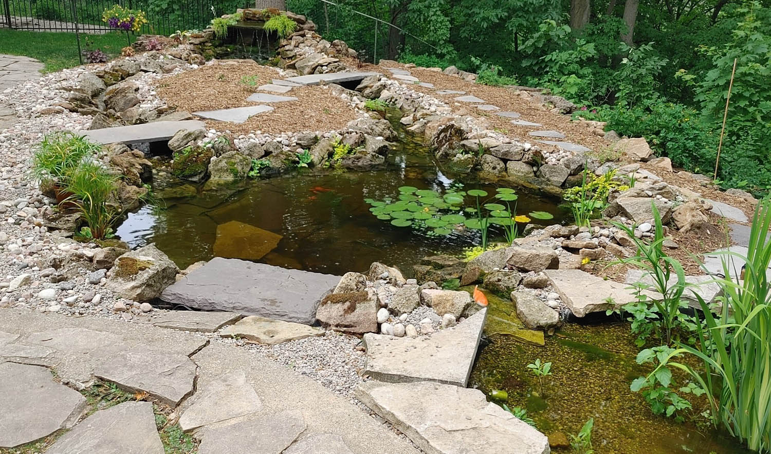Grimsby Fish Pond Project Tranquil Escapes