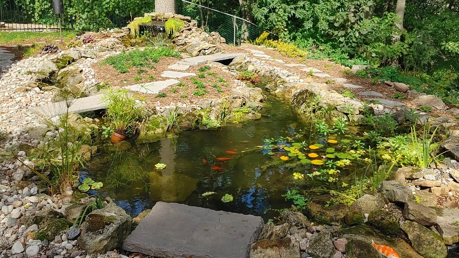 Grimsby Fish Pond Project Tranquil Escapes