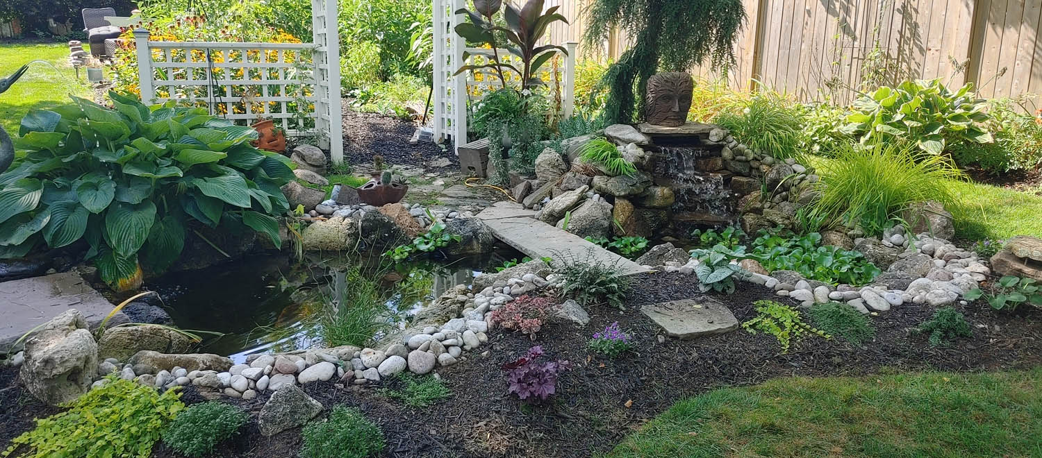 Waterdown Fish Pond Project Tranquil Escapes