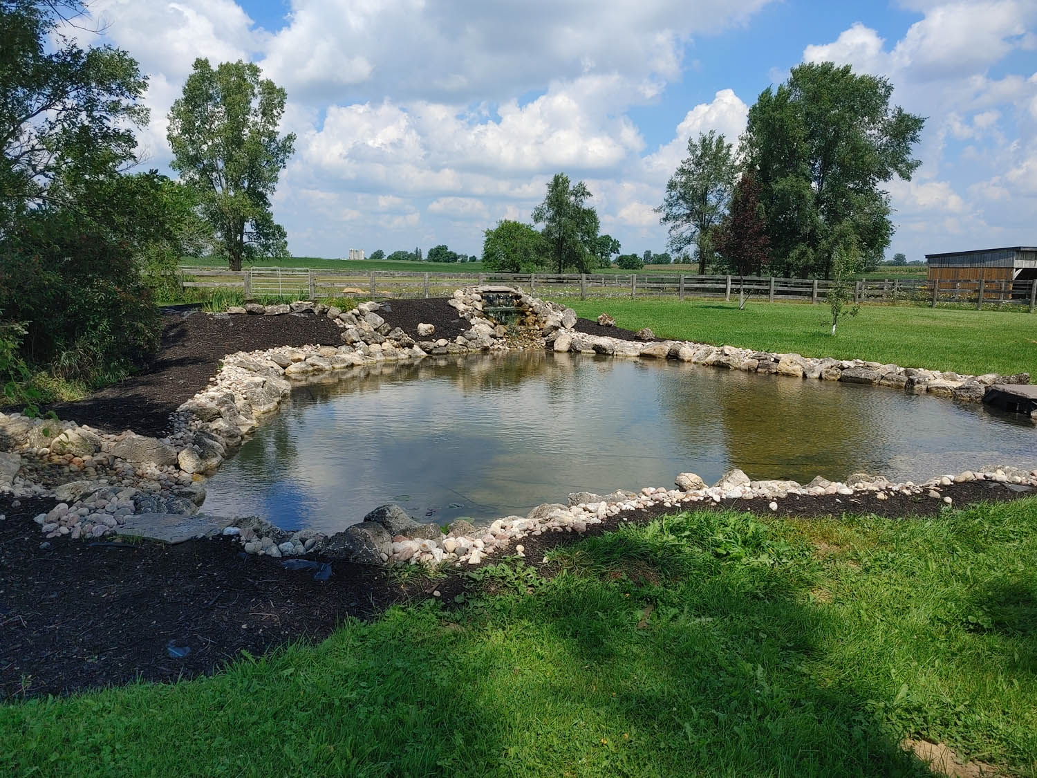 Large Natural Wetland Or Bog Water Garden For Large New Pond Tranquil