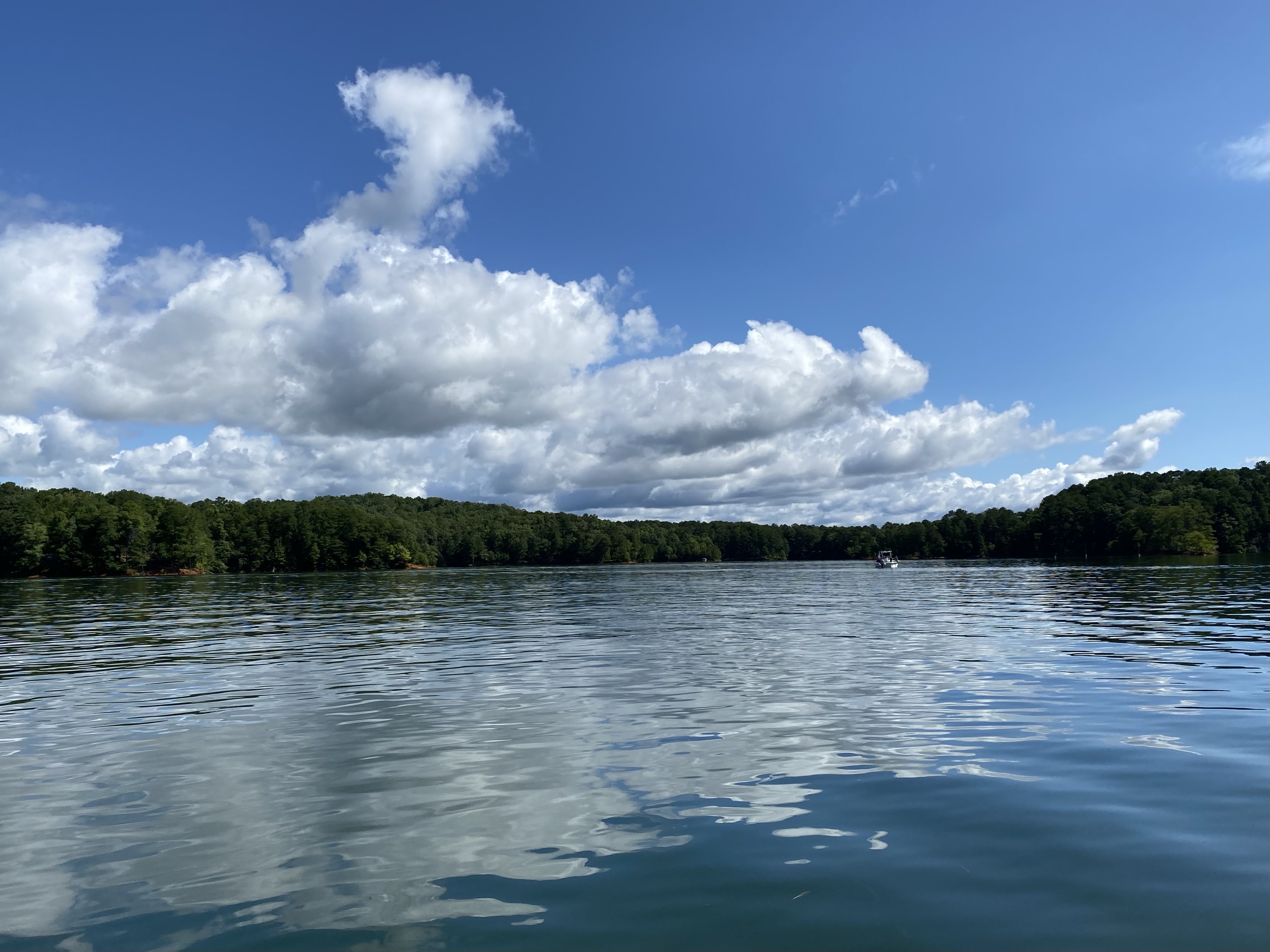 Tranquility at Carters Lake Owners Association Rustic Sophistication