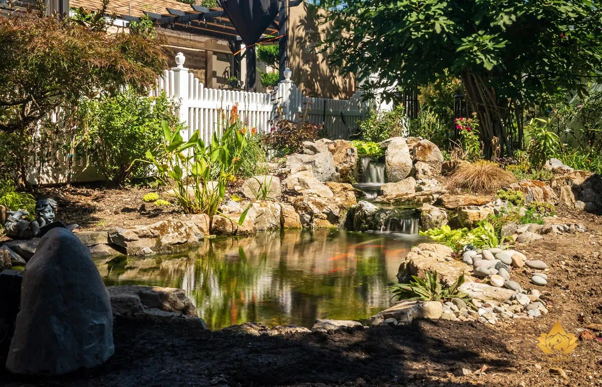 Pricing and Packages for Koi Ponds TranquilityScapes