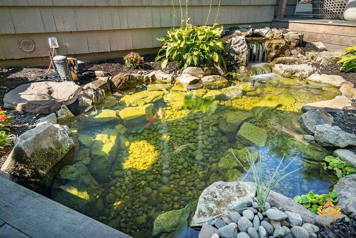 Ecosystem Ponds TranquilityScapes