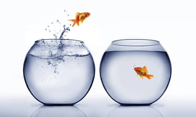 Favorite Inspiring Quotes Adaptability
