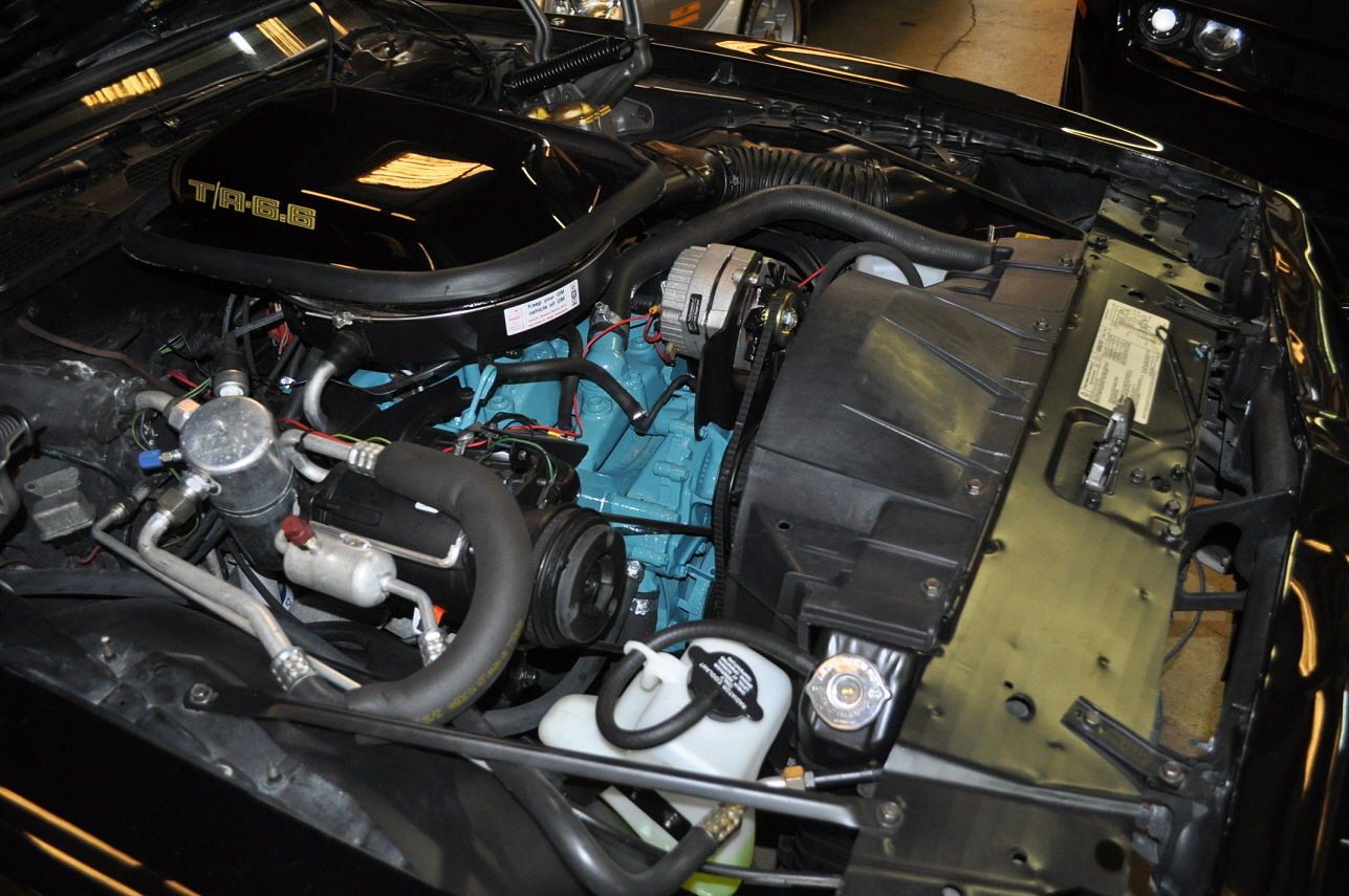 TRANS AM SPECIALTIES OF FLORIDA