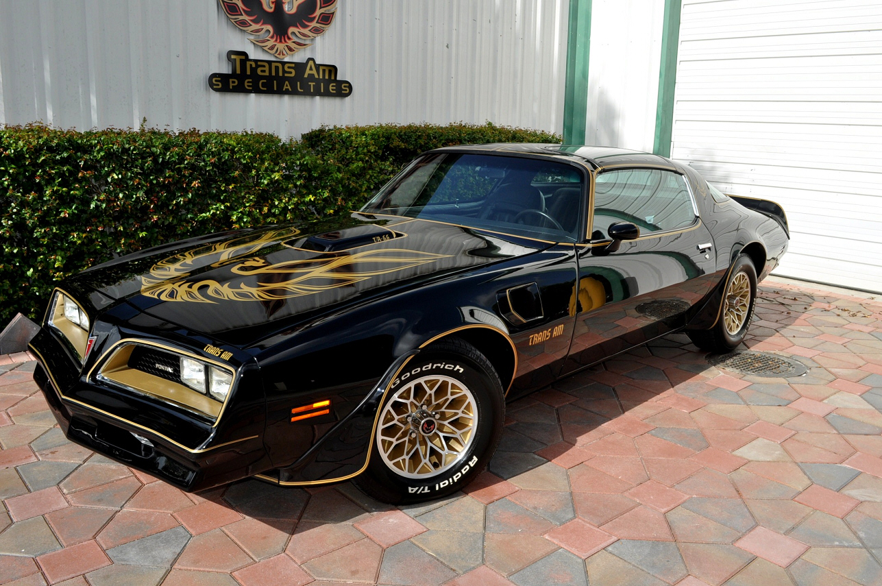 TRANS AM SPECIALTIES OF FLORIDA