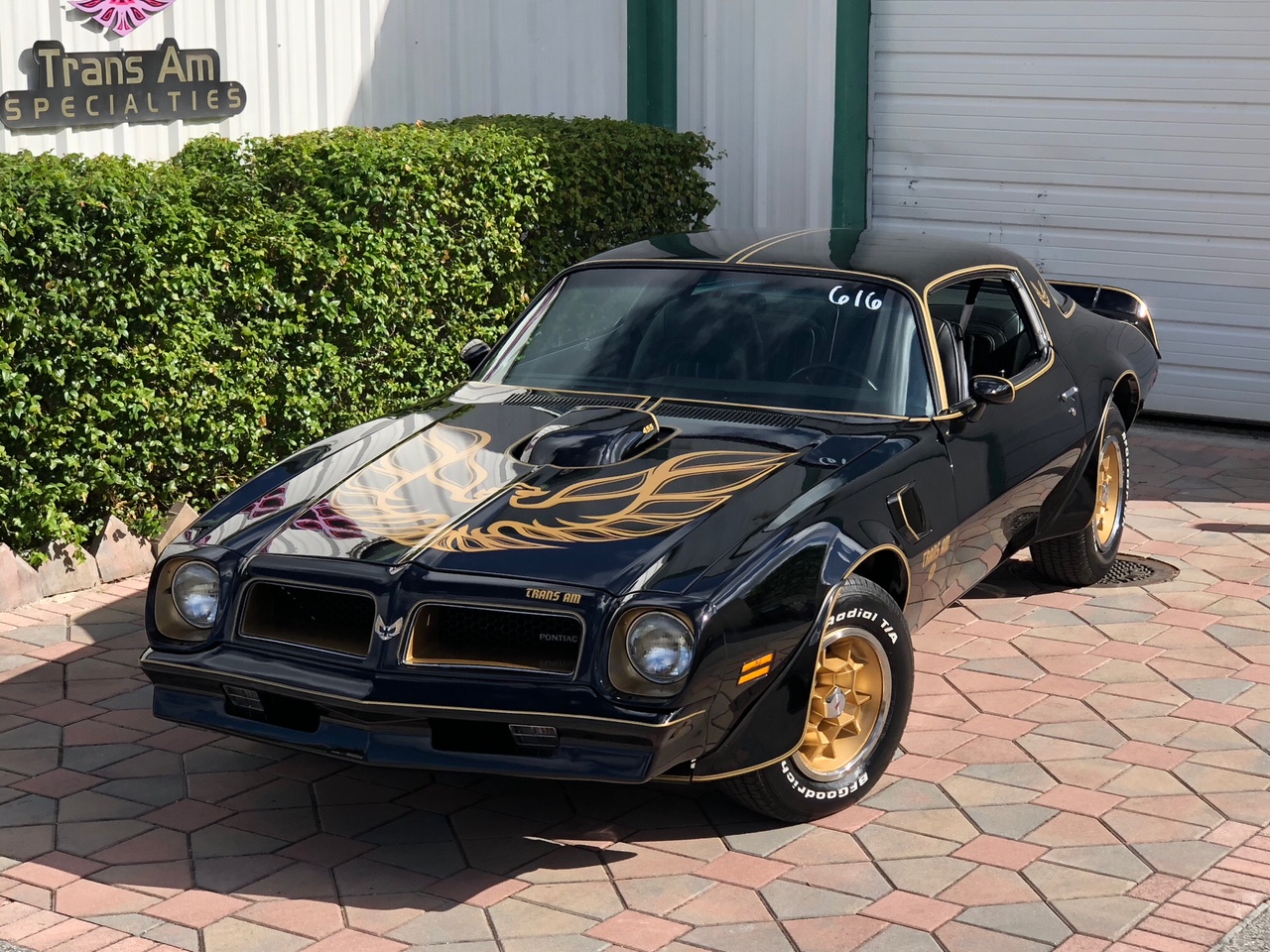 TRANS AM SPECIALTIES OF FLORIDA