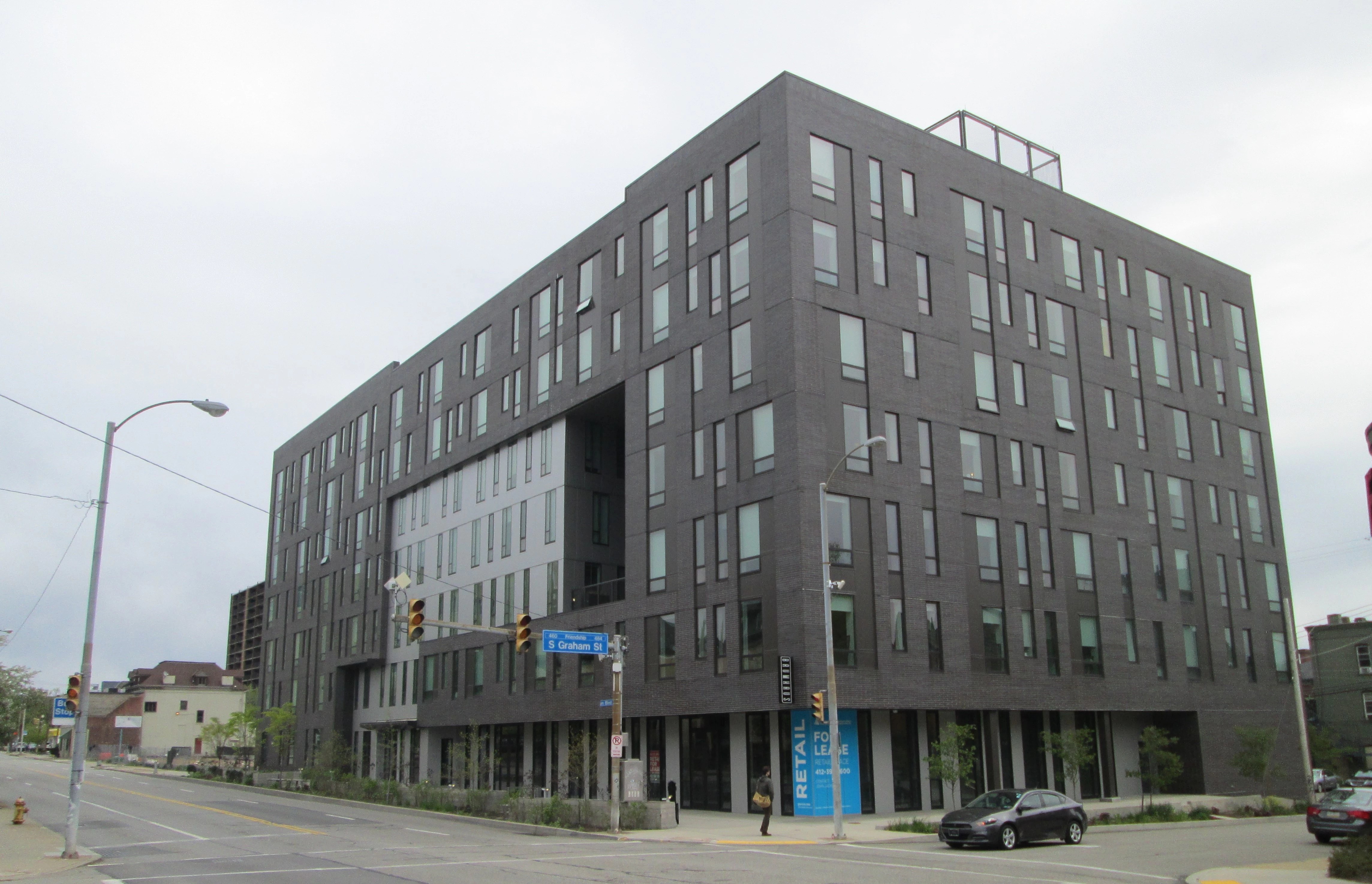 Ollie at Baumhaus Trans Associates