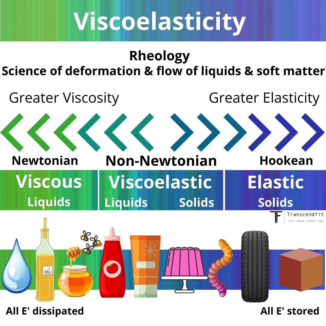 Simplifying Viscoelasticity for Fascia Nerds TranscendFit